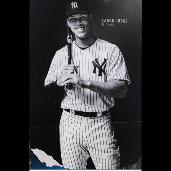 POSH AMBASSADOR II METRO TO MONTAUK - Picture 2 of 6